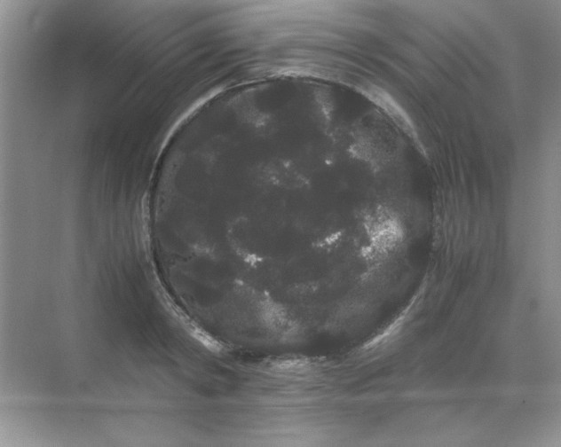 X0000071900798200607212015