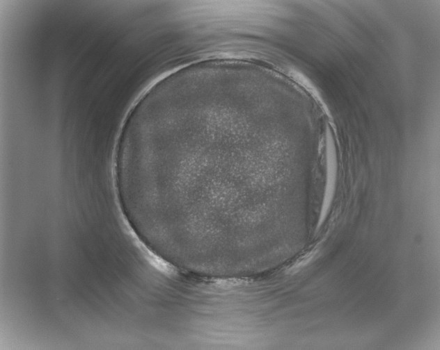 X0000071900803200607212015