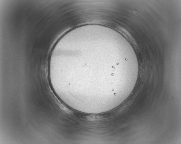 X0000071900804200607212015