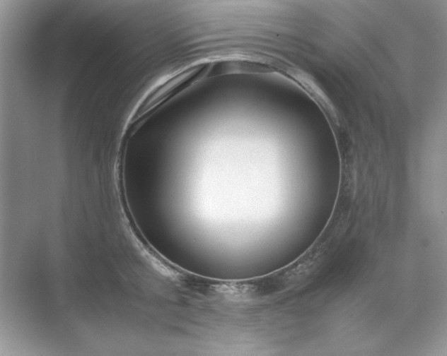 X0000071900805200607212015