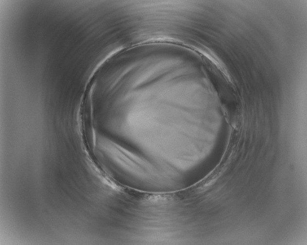 X0000071900806200607212015