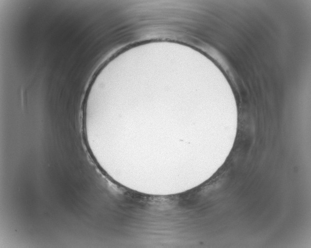 X0000071900807200607212015