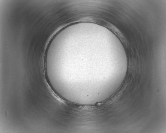 X0000071900808200607212015