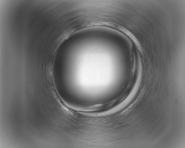 X0000071900809200607212015