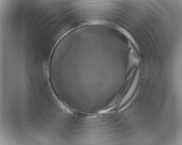 X0000071900810200607212015