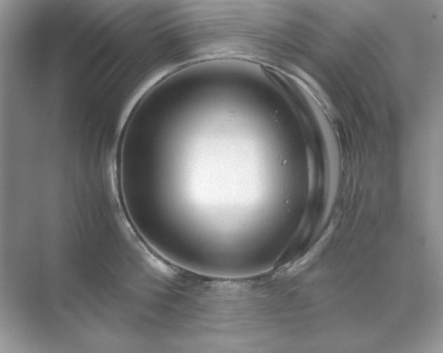 X0000071900812200607212015