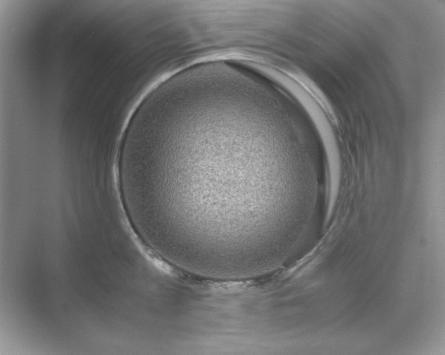 X0000071900813200607212015