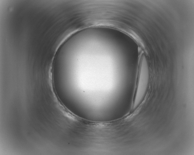 X0000071900814200607212015