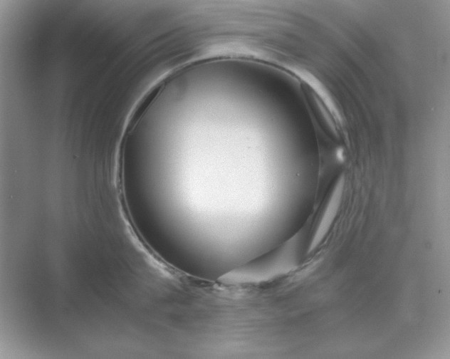 X0000071900815200607212015