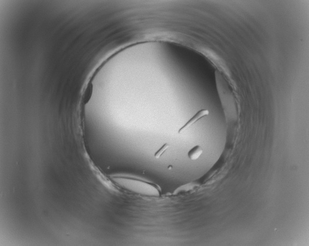 X0000071900816200607212015