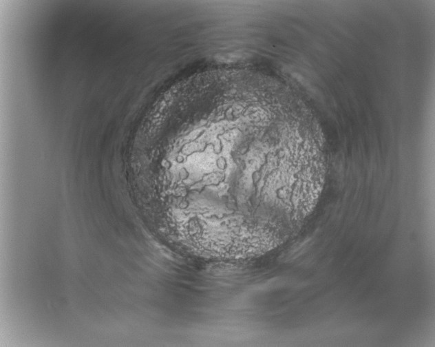 X0000071900817200607212014