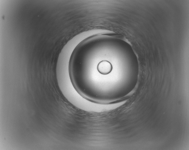 X0000071900818200607212014