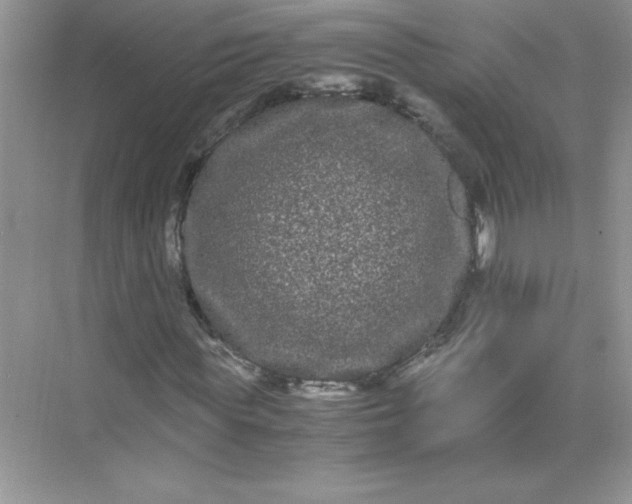 X0000071900819200607212014