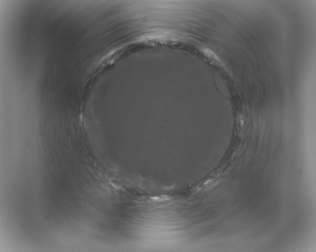 X0000071900822200607212014