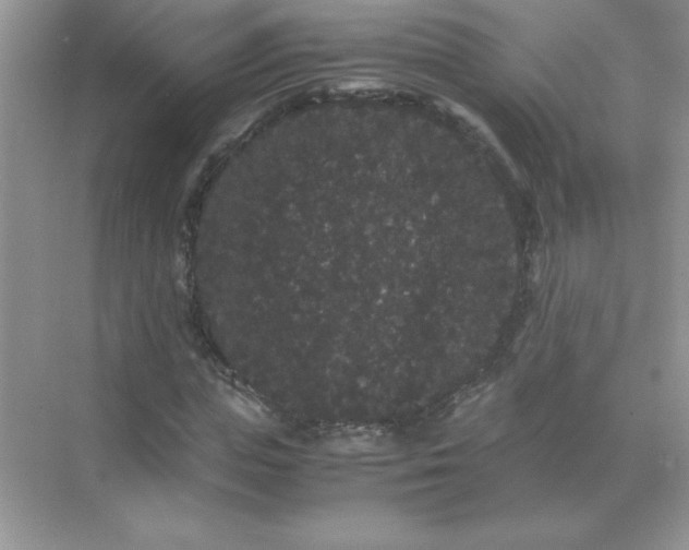 X0000071900823200607212014