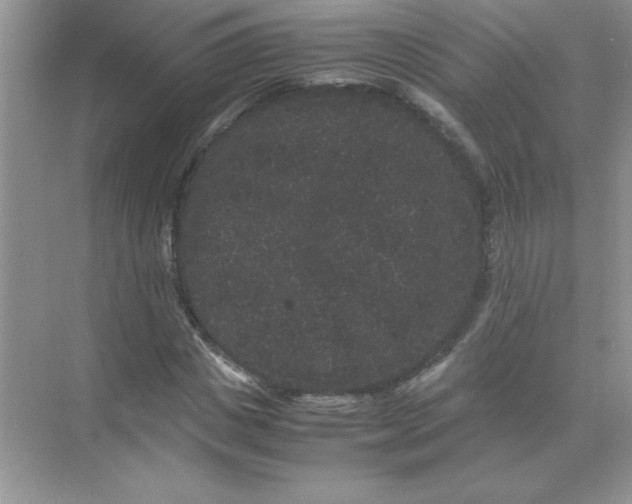 X0000071900825200607212014