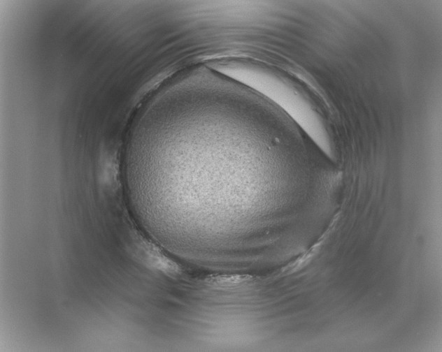 X0000071900826200607212014