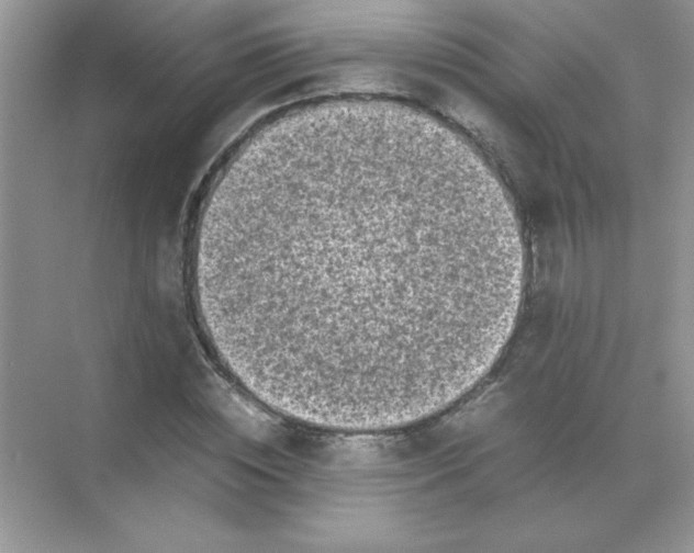 X0000071900828200607212014