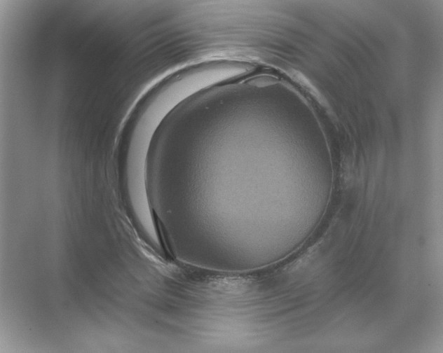 X0000071900830200607212014