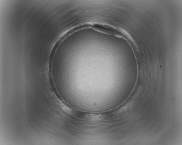 X0000071900831200607212014