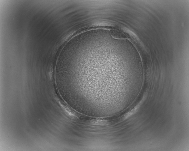 X0000071900833200607212014