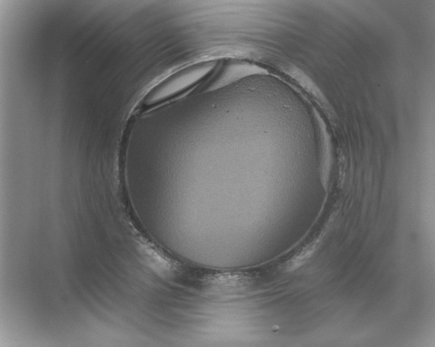 X0000071900834200607212014