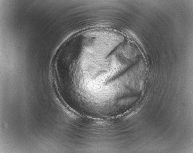 X0000071900835200607212014