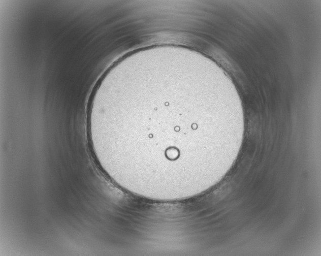 X0000071900836200607212014