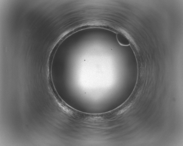 X0000071900837200607212014