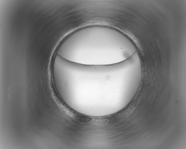 X0000071900840200607212014