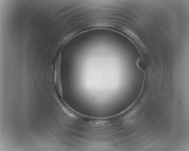 X0000071900841200607212014