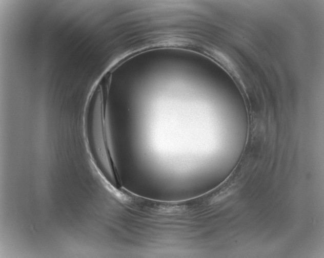 X0000071900843200607212014