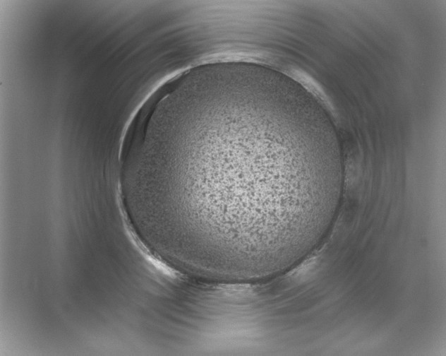 X0000071900844200607212014