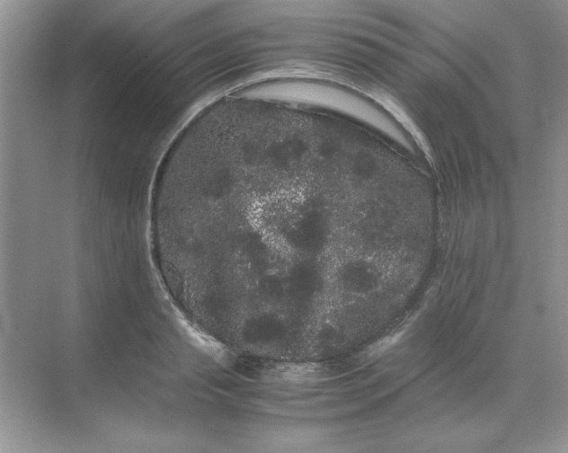 X0000071900845200607212014