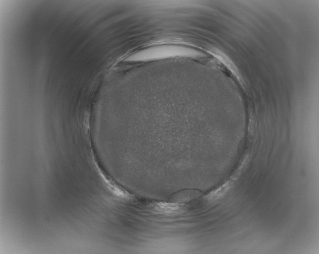 X0000071900849200607212014