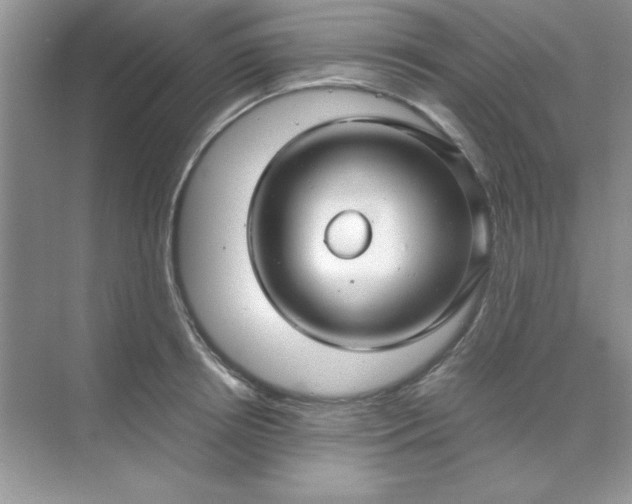 X0000071900850200607212014