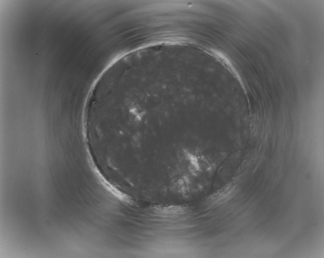 X0000071900851200607212014