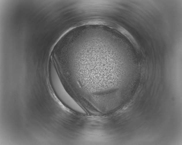 X0000071900852200607212014