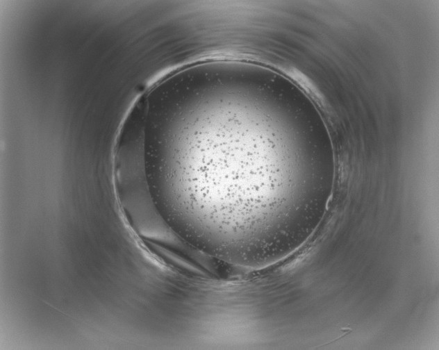 X0000071900854200607212014