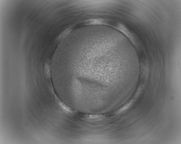 X0000071900857200607212014