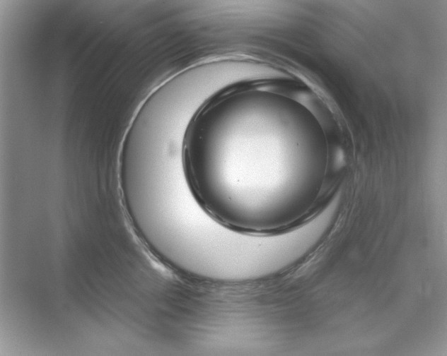 X0000071900858200607212014