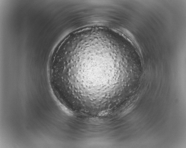 X0000071900859200607212014