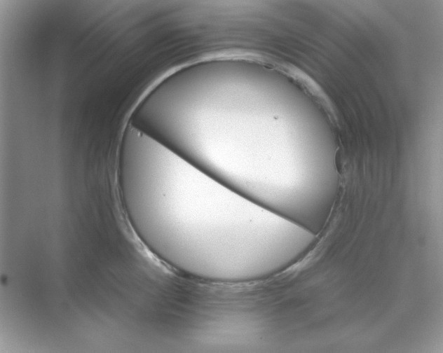 X0000071900860200607212014