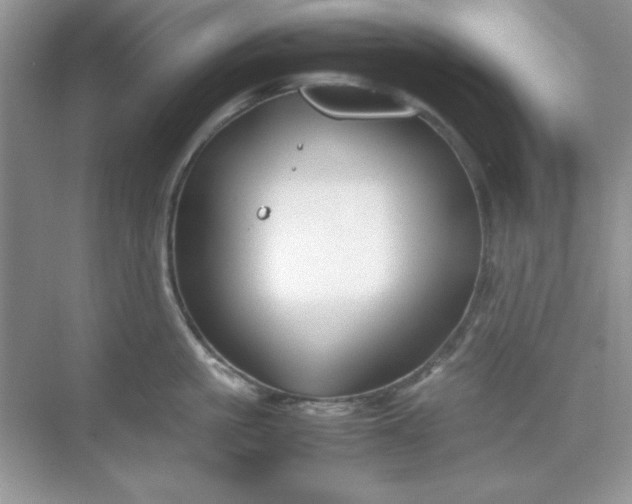 X0000071900861200607212014