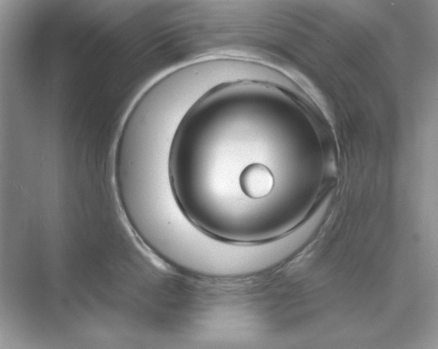 X0000071900862200607212014