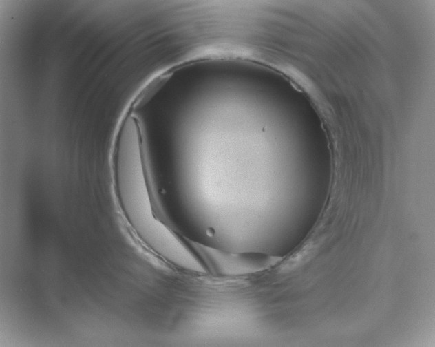 X0000071900864200607212015