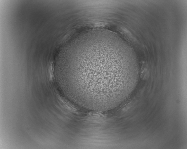 X0000071900866200607212014