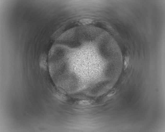 X0000071900867200607212014