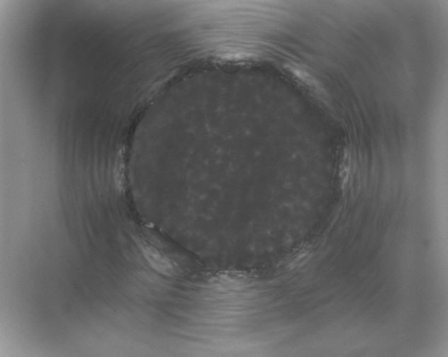 X0000071900868200607212014