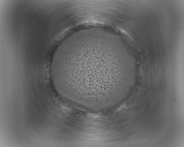 X0000071900870200607212014